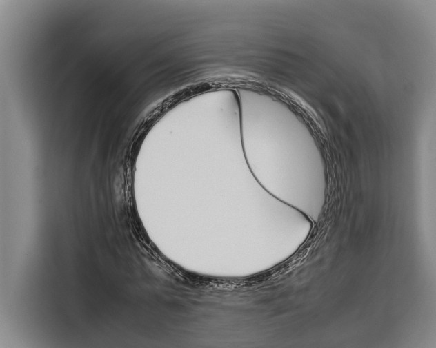 X0000108480775200905151222