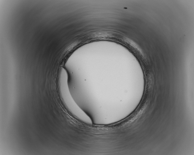 X0000108480777200905151222