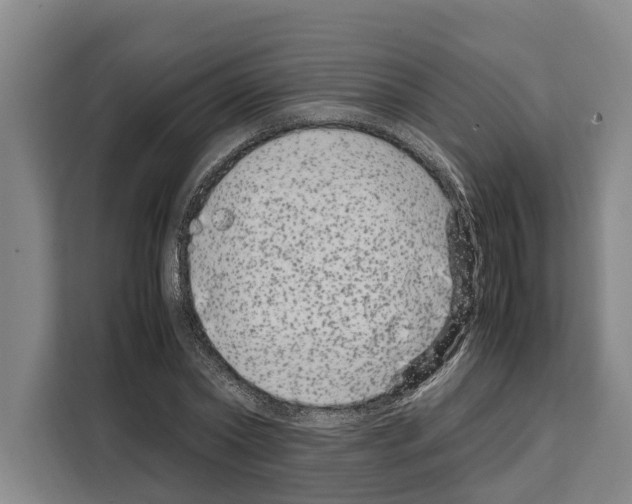 X0000108480782200905151222