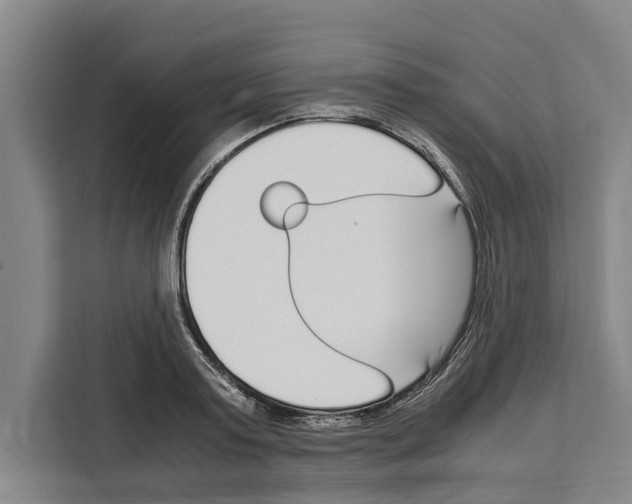 X0000108480795200905151222