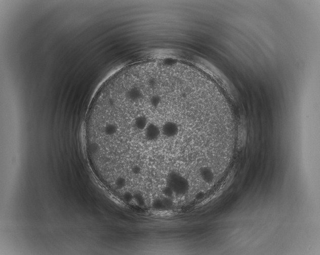 X0000108480798200905151222