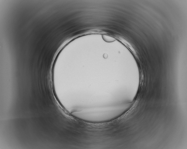 X0000108480800200905151222