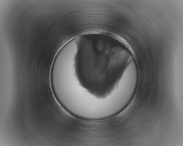 X0000108480802200905151222