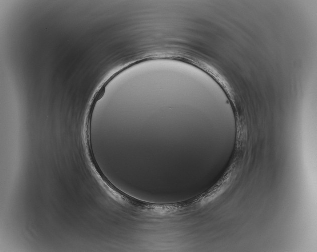 X0000108480803200905151222