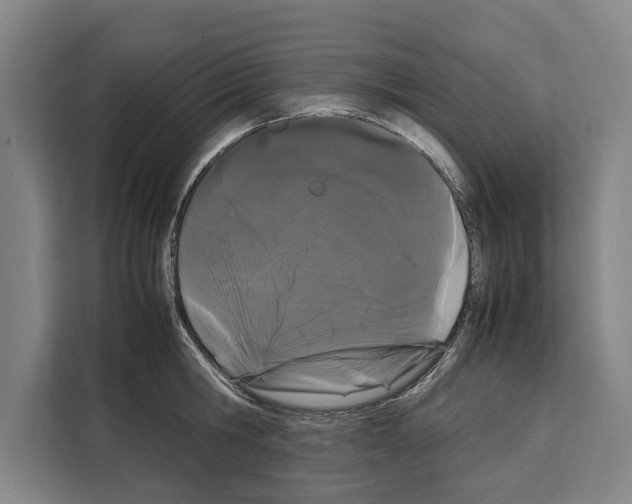 X0000108480806200905151222