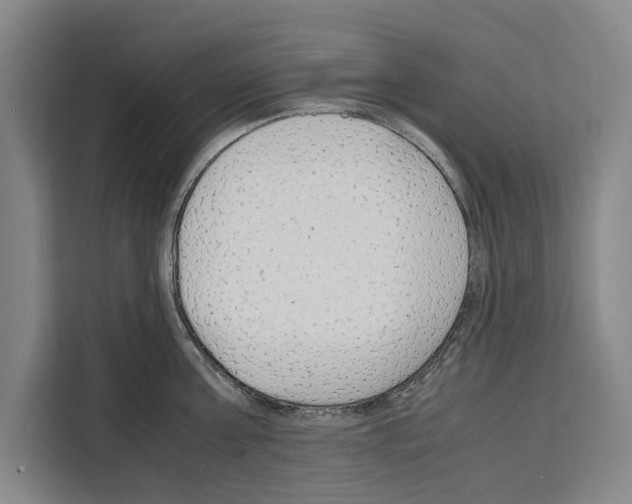 X0000108480811200905151222