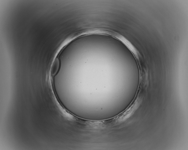 X0000108480813200905151221