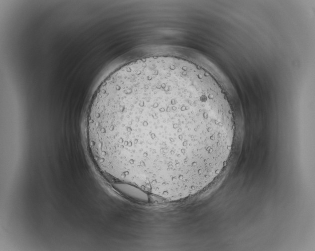 X0000108480814200905151221