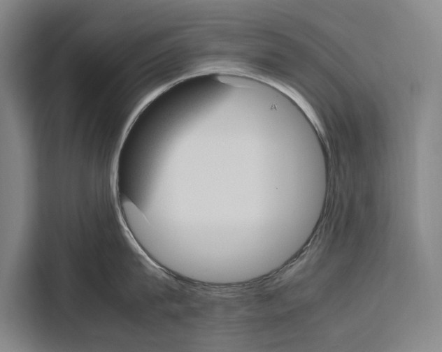 X0000108480815200905151221
