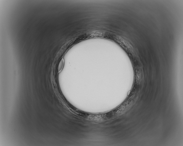X0000108480817200905151221