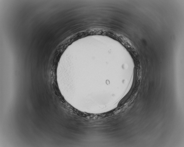 X0000108480821200905151221