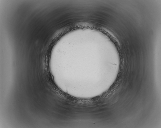 X0000108480823200905151221