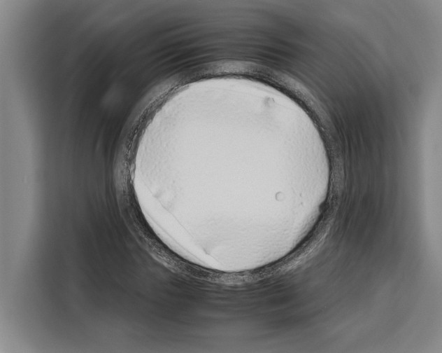 X0000108480827200905151221