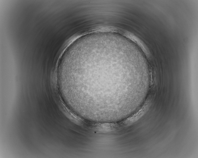 X0000108480828200905151221