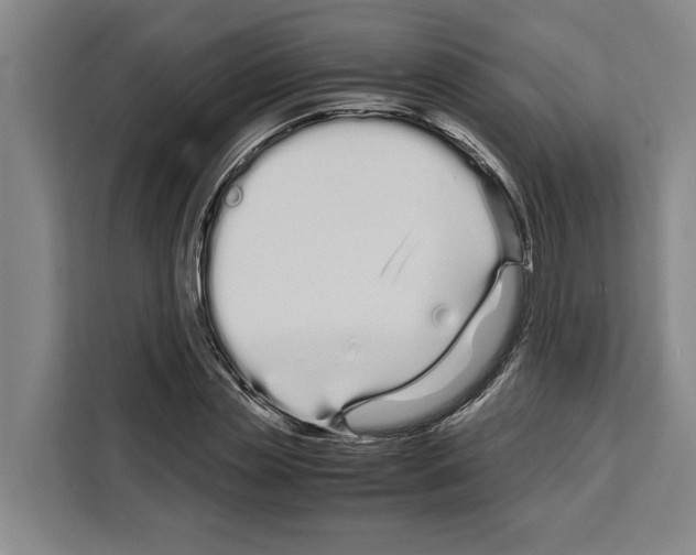 X0000108480829200905151221