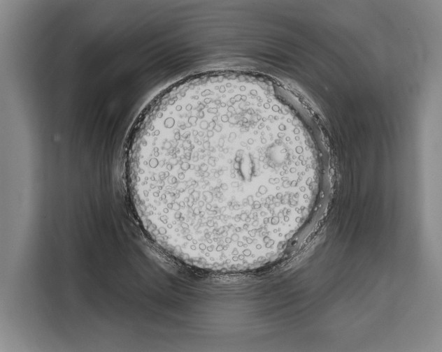 X0000108480830200905151221