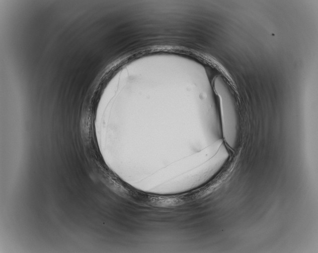 X0000108480831200905151221