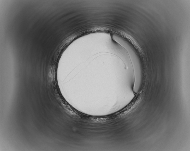 X0000108480833200905151221