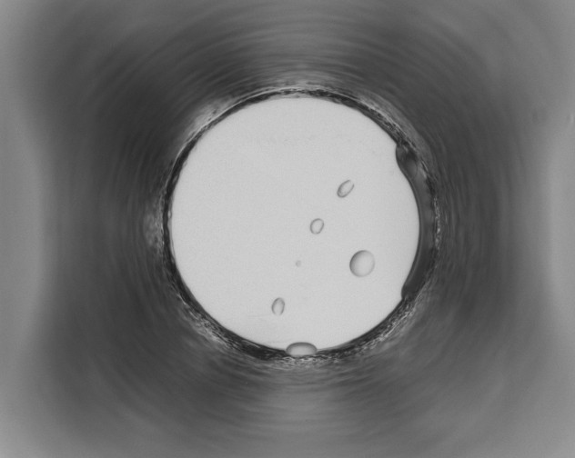 X0000108480834200905151221