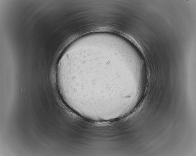 X0000108480835200905151221