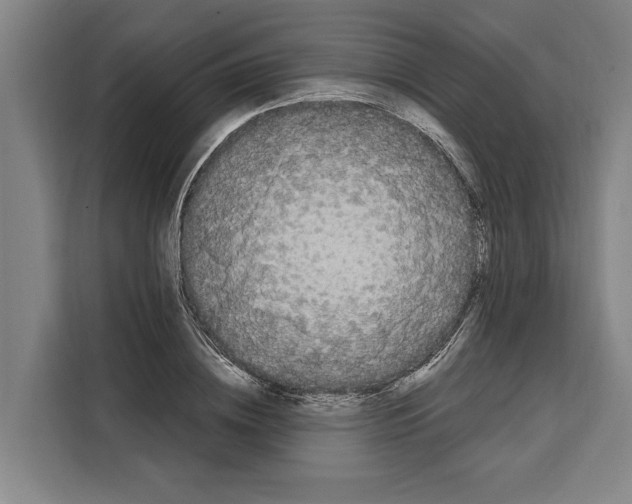X0000108480836200905151221