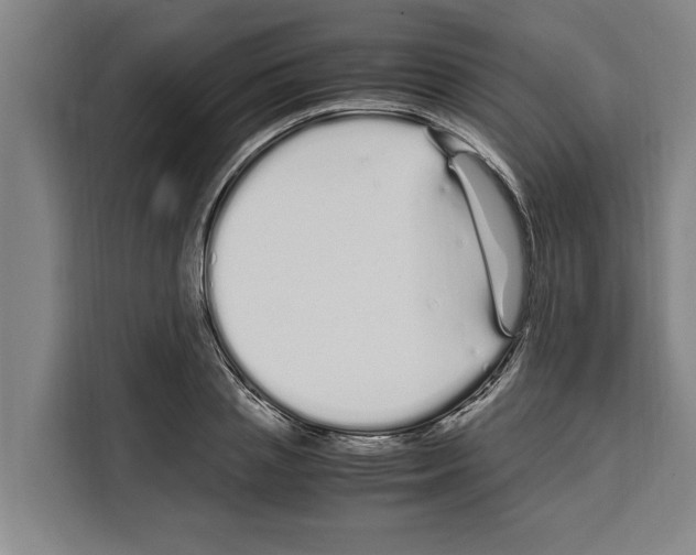 X0000108480837200905151221