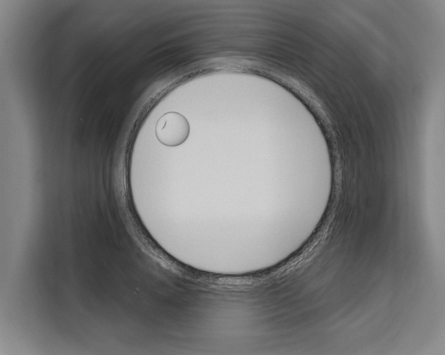X0000108480840200905151221