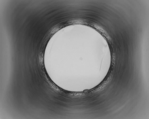 X0000108480841200905151221