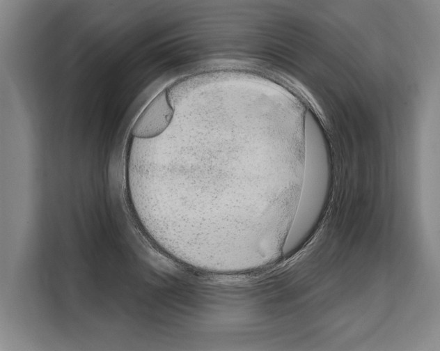 X0000108480844200905151221