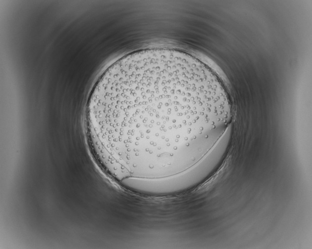 X0000108480847200905151221