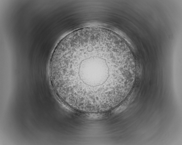 X0000108480848200905151221