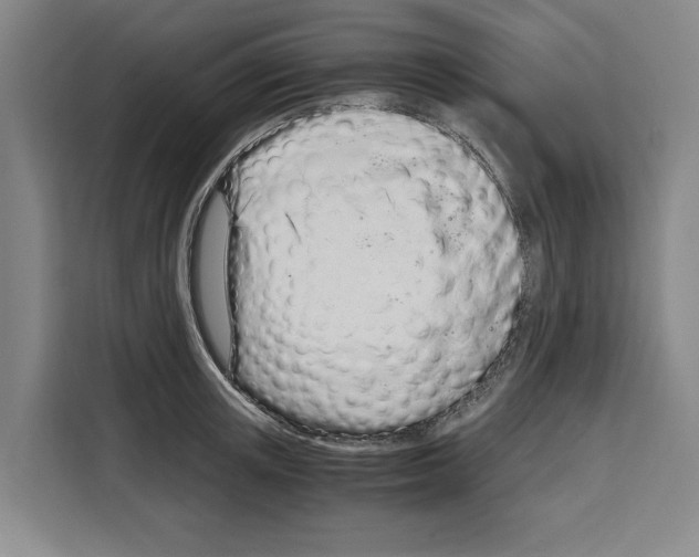 X0000108480851200905151221