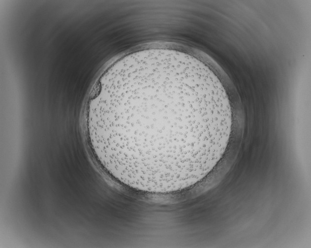 X0000108480852200905151221