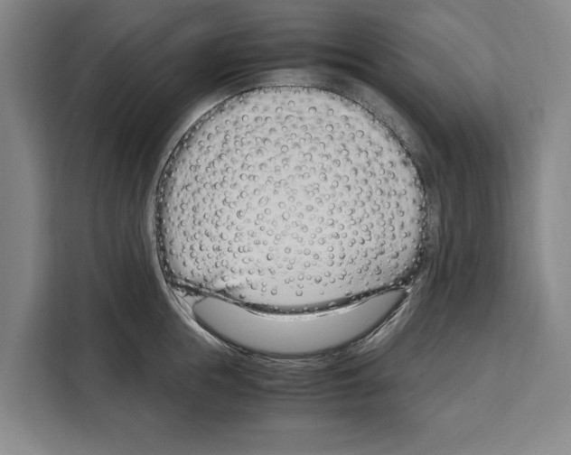 X0000108480855200905151221