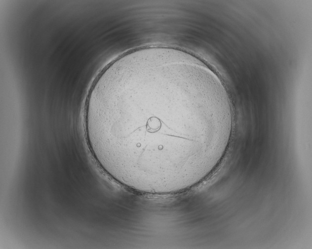 X0000108480856200905151221