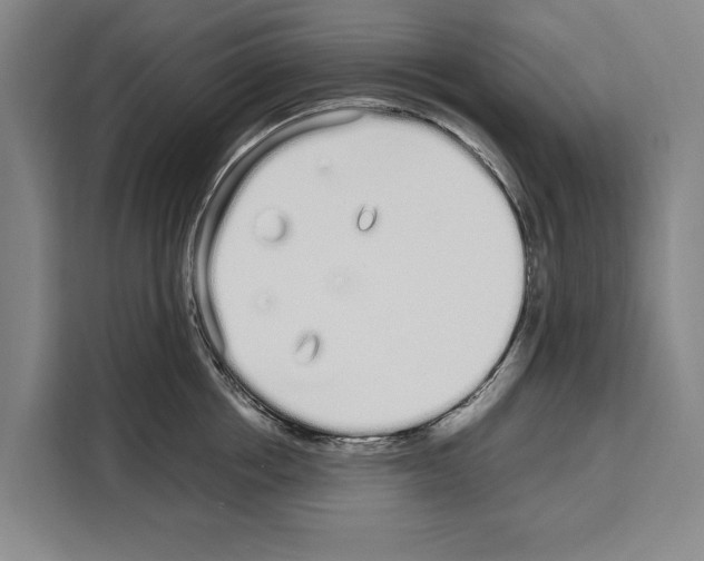 X0000108480858200905151221