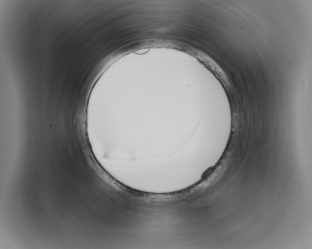 X0000108480860200905151221