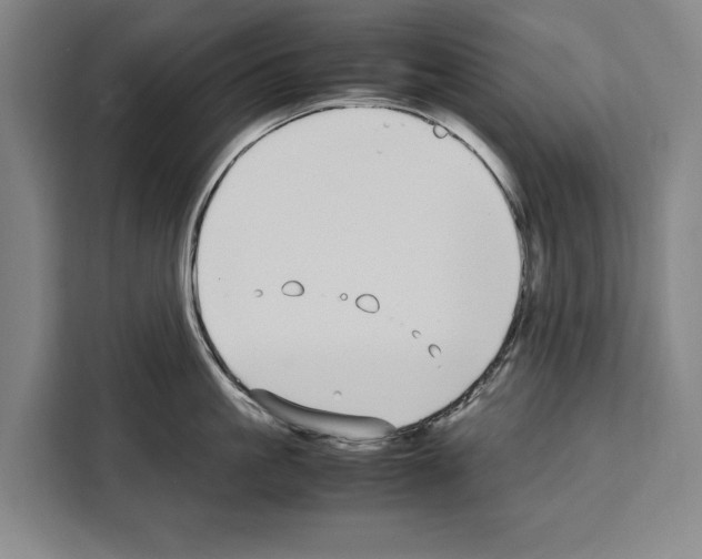 X0000108480861200905151221