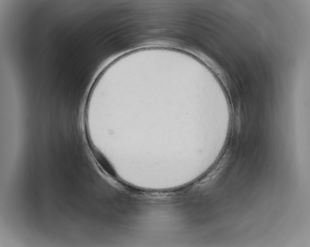 X0000108480862200905151221