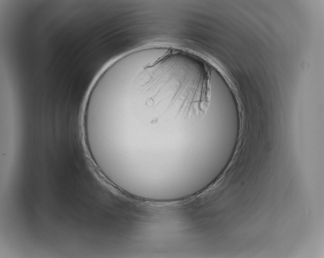 X0000108480864200905151221