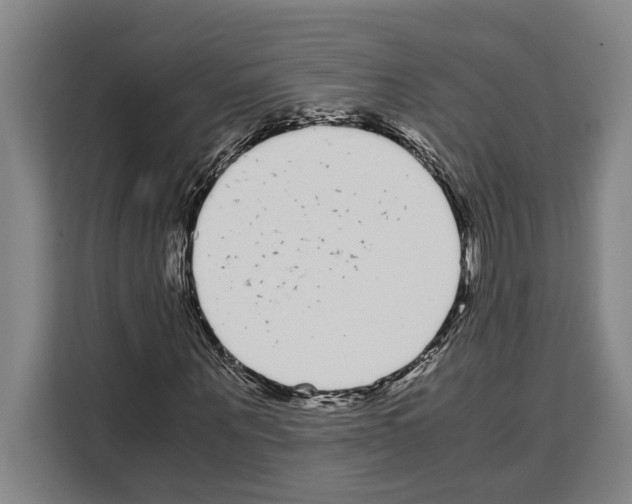 X0000108480867200905151221