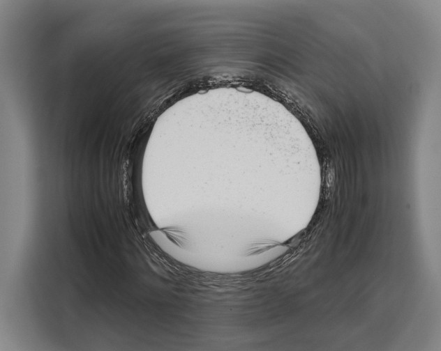 X0000108480868200905151221