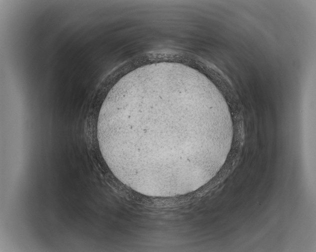X0000108480870200905151221