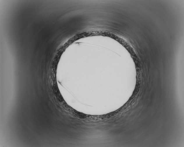 X0000108480871200905151221