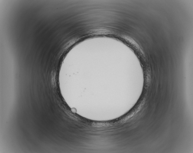 X0000108480873200905151221