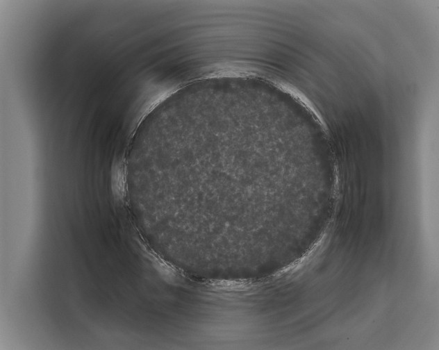 X0000108480874200905151221