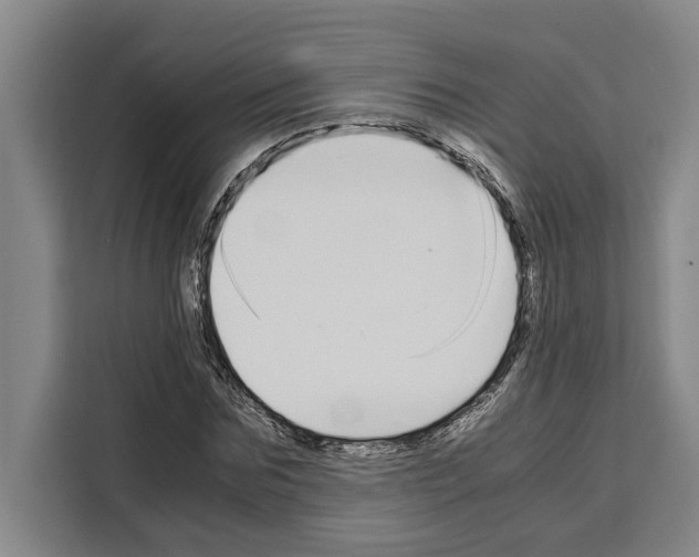 X0000108480875200905151221