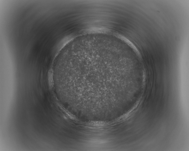 X0000108480878200905151221