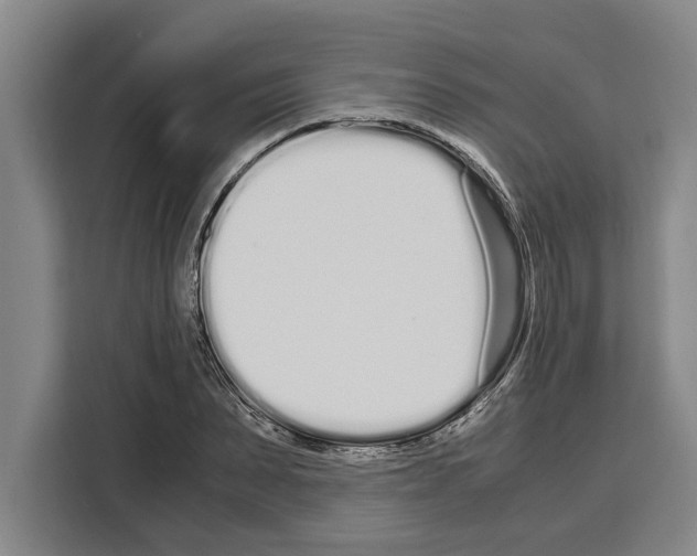 X0000108480879200905151221