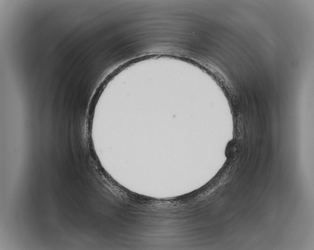 X0000108480880200905151221